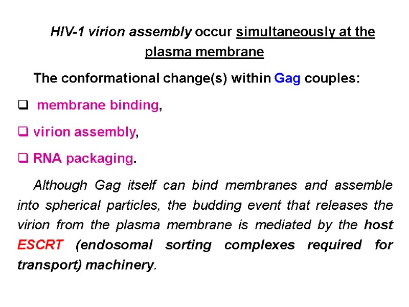 HIV-1 virion assembly occur simultaneously at the plasma membrane The conformational change(s) within Gag